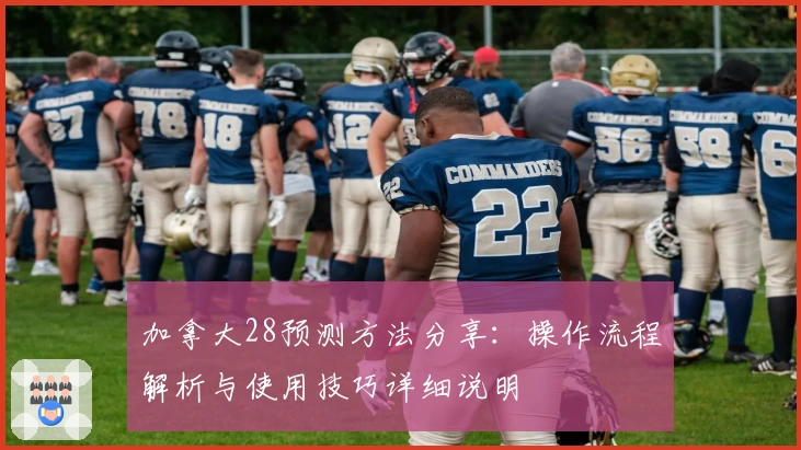加拿大28预测方法分享：操作流程解析与使用技巧详细说明