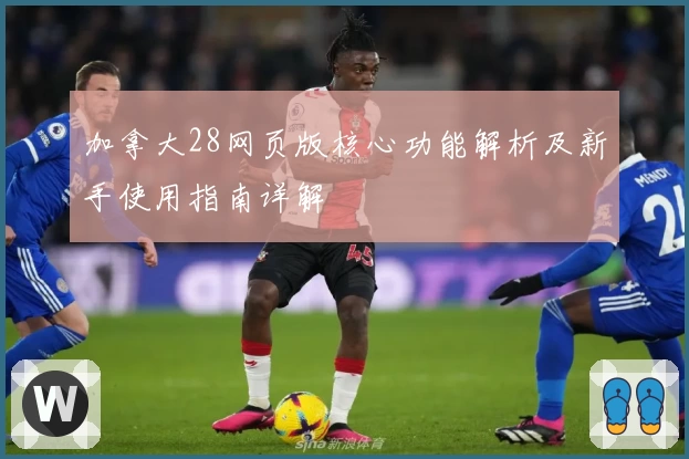 加拿大28网页版核心功能解析及新手使用指南详解