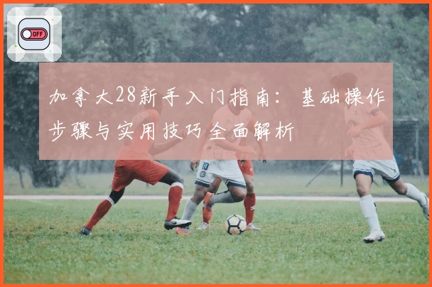 加拿大28新手入门指南：基础操作步骤与实用技巧全面解析