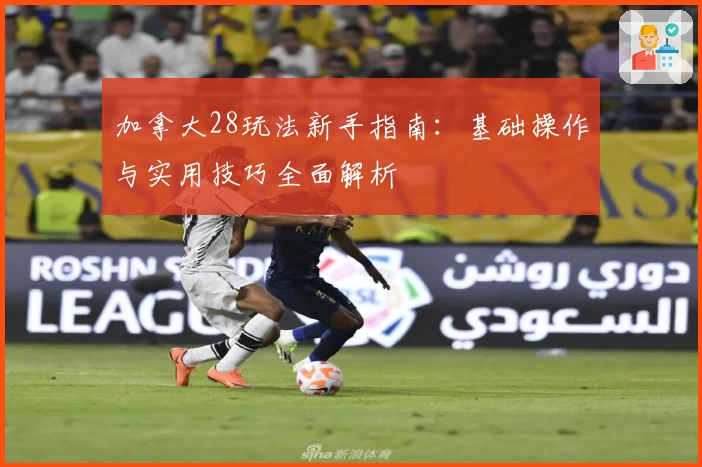 加拿大28玩法新手指南:基础操作与实用技巧全面解析