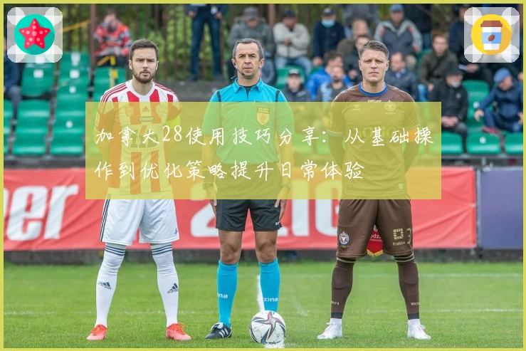 加拿大28使用技巧分享：从基础操作到优化策略提升日常体验