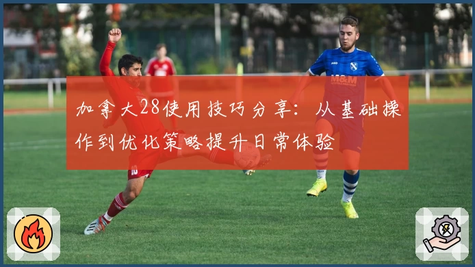 加拿大28使用技巧分享：从基础操作到优化策略提升日常体验