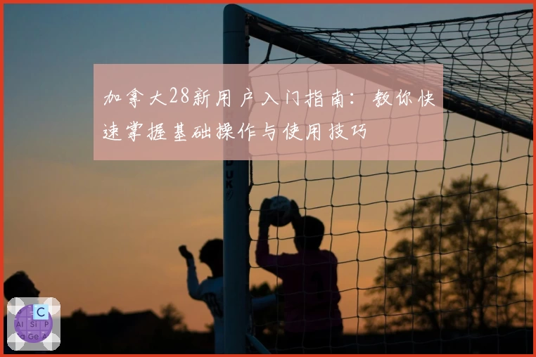 加拿大28新用户入门指南：教你快速掌握基础操作与使用技巧