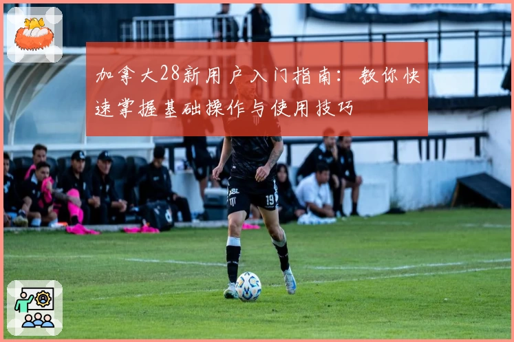 加拿大28新用户入门指南：教你快速掌握基础操作与使用技巧