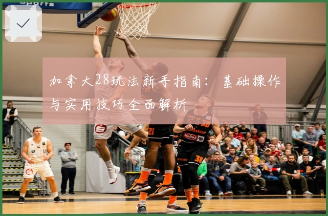 加拿大28玩法新手指南：基础操作与实用技巧全面解析